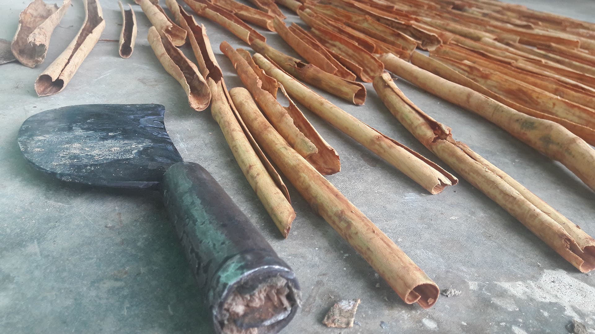 Ceylon Cinnamon Sticks